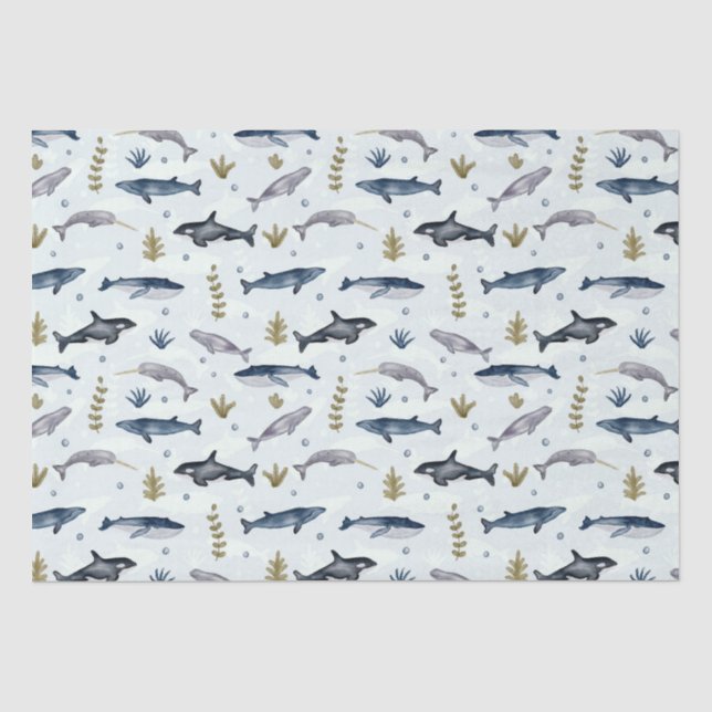 Papier Mousseline Histoire moderne de la baleine d'aquarelle (Recto)