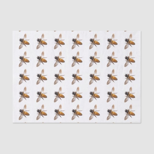 Papier Mousseline Honey Bee's (Recto)