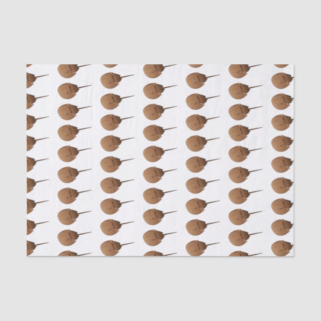 Papier Mousseline Horseshoe crab (Recto)