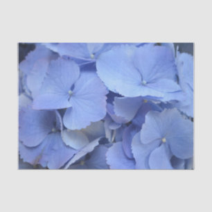 Papier Mousseline Hortensia assez bleu