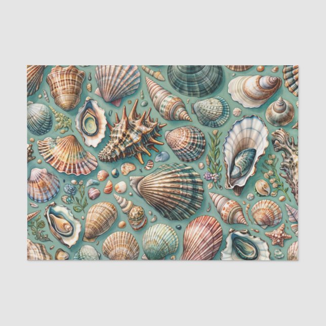 Papier Mousseline Huîtres et palourdes Coquillages Variété (Recto)
