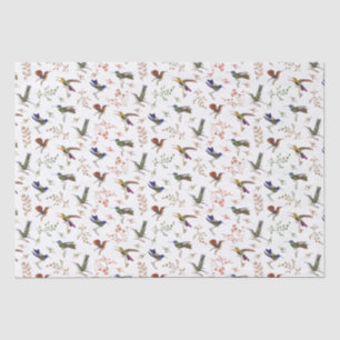Papier Mousseline Hummingbirds Papier d'enveloppement d'oiseaux colo
