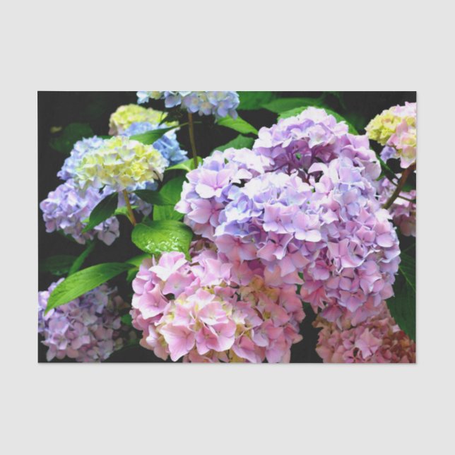 Papier Mousseline Hydrangea garden, rose, bleu, purple floral (Recto)