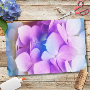 Papier Mousseline Hydrangea Violet Coloré