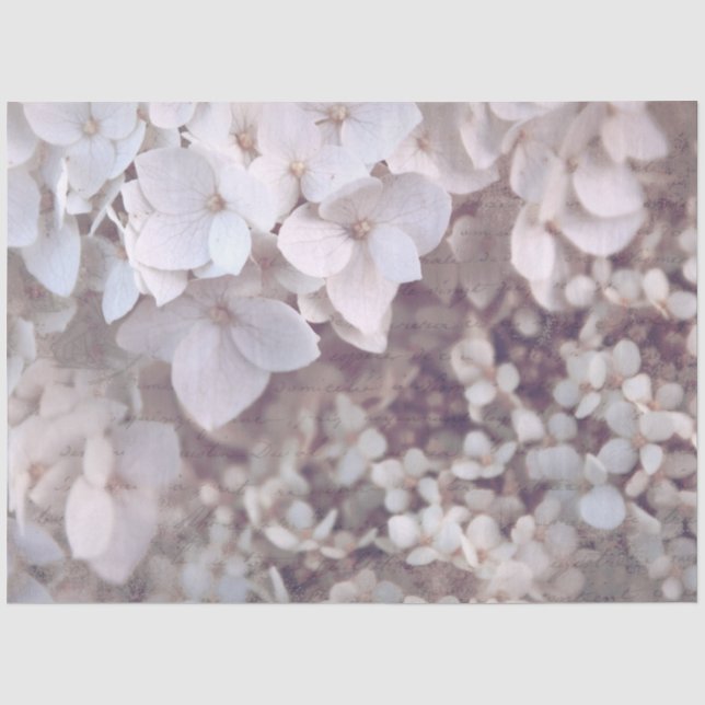 Papier Mousseline Hydrangeas Dusty Rose Pink Decoupage papier papier (Recto)