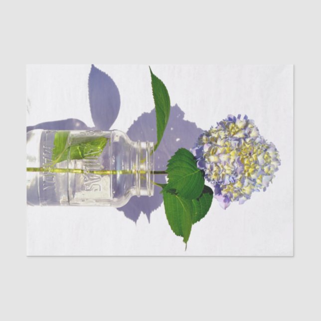 Papier Mousseline hydrangée et pot de mason (Recto)