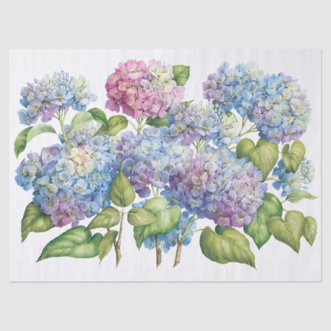 Papier Mousseline Hydrangées en fleur (Recto)