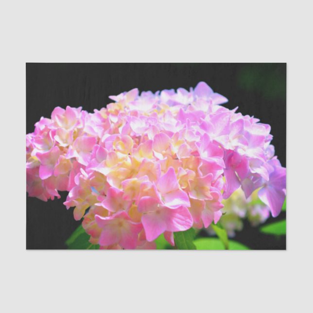 Papier Mousseline Hydrangées rose violet orange (Recto)