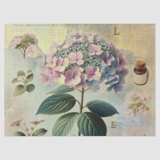 Papier Mousseline Hydrangia