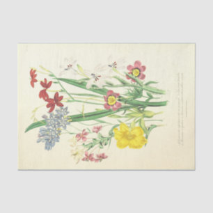 Papier Mousseline Illustration africaine de cru de fleurs
