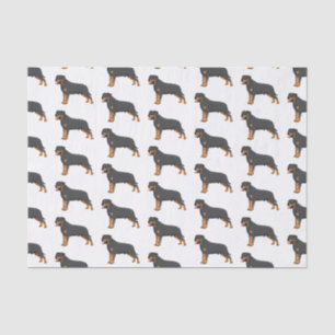 Papier Mousseline Illustration de chien Rottweiler