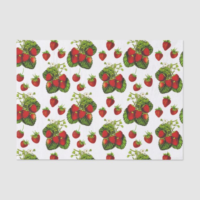 Papier Mousseline Illustration de fraise botanique Imprimer sur blan (Recto)