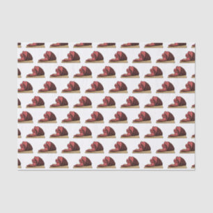 Papier Mousseline Illustration de jambon