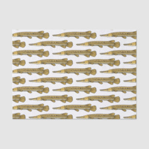 Papier Mousseline Illustration de l'alligator garfish
