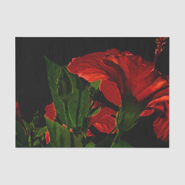 Papier Mousseline Illustration de l'Hibiscus à fort contraste (Recto)