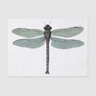 Papier Mousseline Illustration de libellule Vintage typographique an