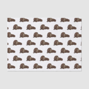 Papier Mousseline Illustration de Walrus