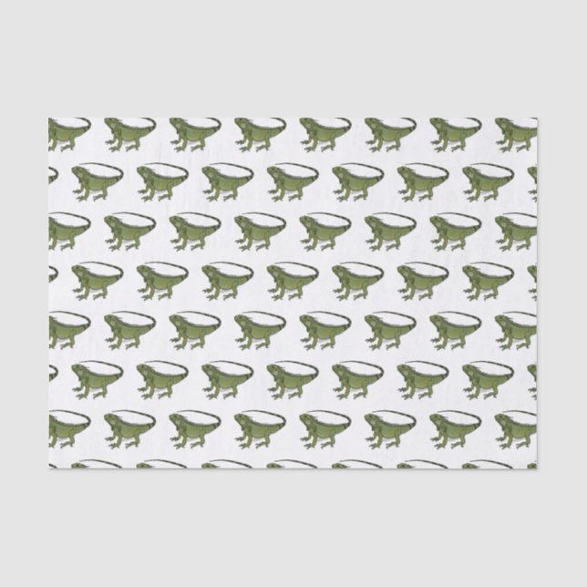 Papier Mousseline Illustration d'Iguana (Recto)