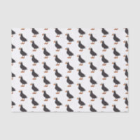 Illustration d'oiseau bouffon touffu