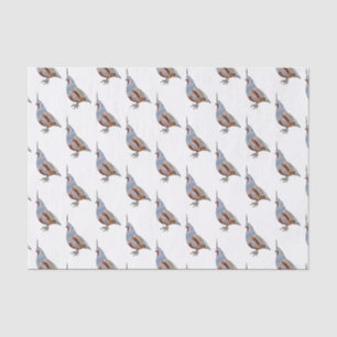 Papier Mousseline Illustration d'oiseau de caille de montagne
