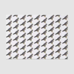 Papier Mousseline Illustration d'oiseau de faucon pèlerin