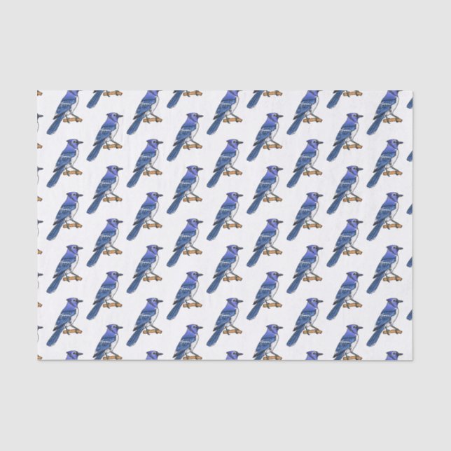 Papier Mousseline Illustration d'oiseau de jay bleu (Recto)