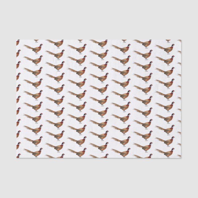Papier Mousseline Illustration d'oiseau faisan à cou circulaire (Recto)