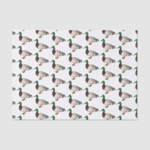 Papier Mousseline Illustration du canard de Majard