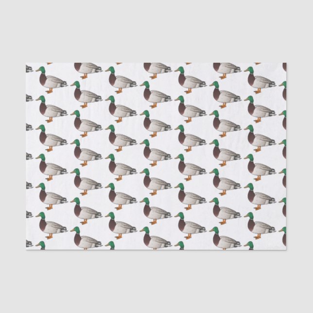 Papier Mousseline Illustration du canard de Majard (Recto)