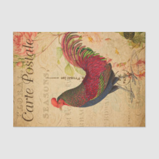Papier Mousseline Illustration du coq de poulet vintage