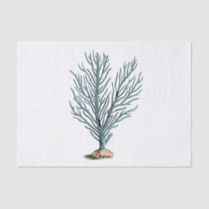 Papier Mousseline Illustration du corail marin antique