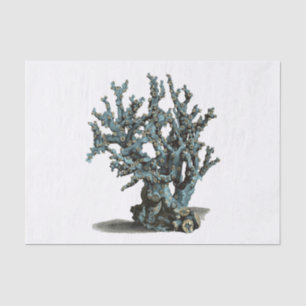 Papier Mousseline Illustration du corail marin antique
