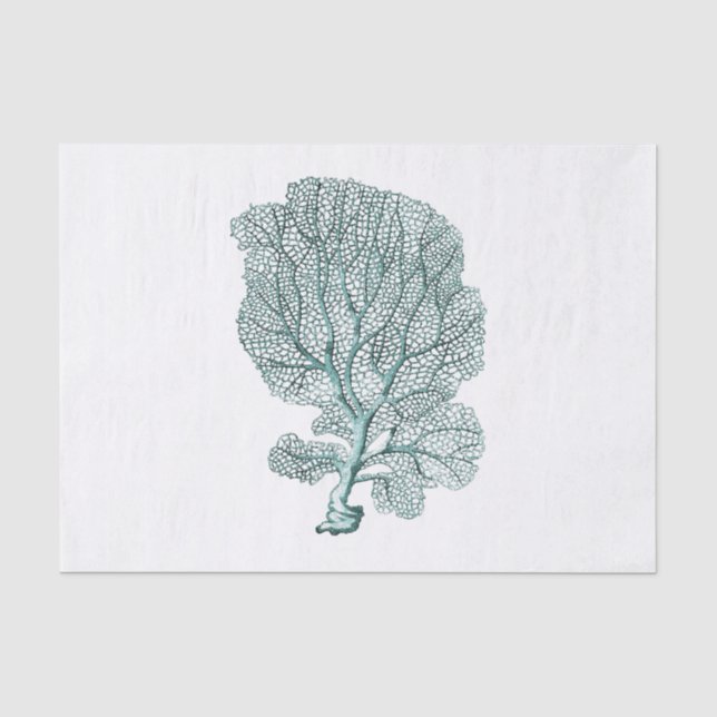 Papier Mousseline Illustration du corail marin antique (Recto)