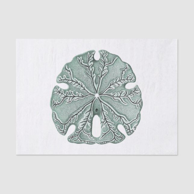 Papier Mousseline Illustration du dollar de sable antique (Recto)