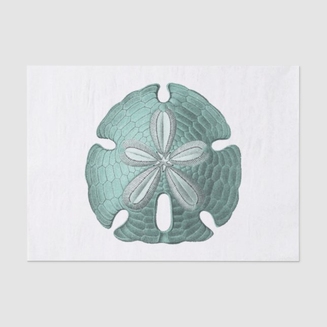 Papier Mousseline Illustration du dollar de sable antique (Recto)