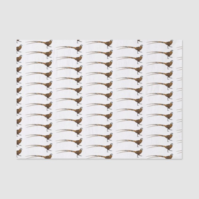 Papier Mousseline Illustration du faisan de Reeves (Recto)
