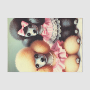 Papier Mousseline Illustration du mignon caniche