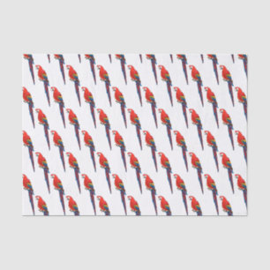 Papier Mousseline Illustration du perroquet de macaw Scarlet