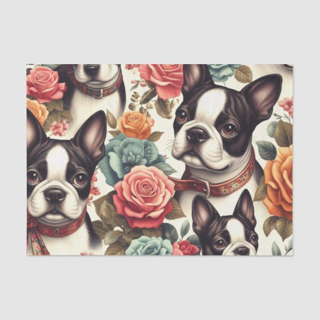 Papier Mousseline Illustration du Terrier de Boston (Recto)