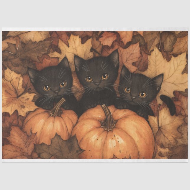 Papier Mousseline Illustration du trio de Kitten noir (Recto)