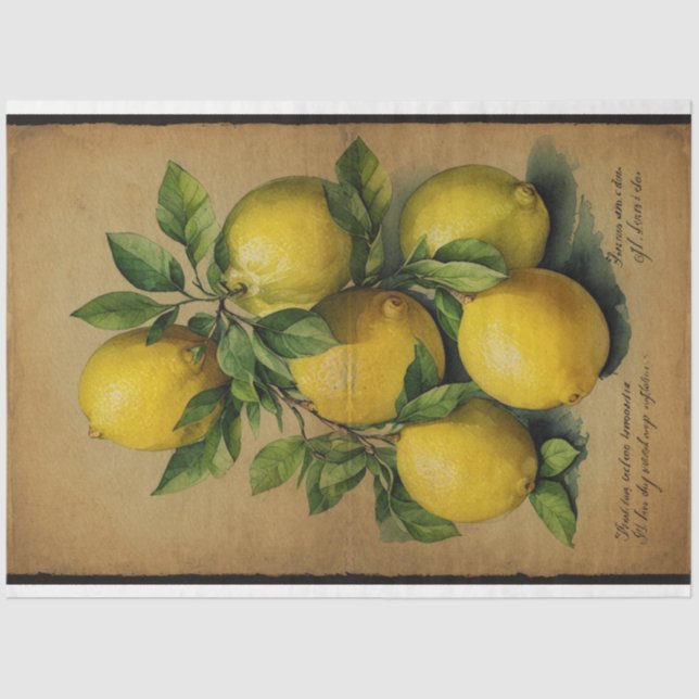 Papier Mousseline Illustration Fruit Citron Ephémère No1 (Recto)