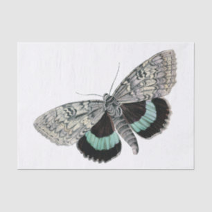 Papier Mousseline Illustration Mois vintage