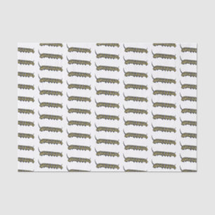 Papier Mousseline Illustration Monarch caterpillar
