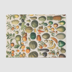Papier Mousseline Illustration scientifique végétale des fruits