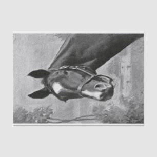 Papier Mousseline Illustration vintage antique noire et blanche de