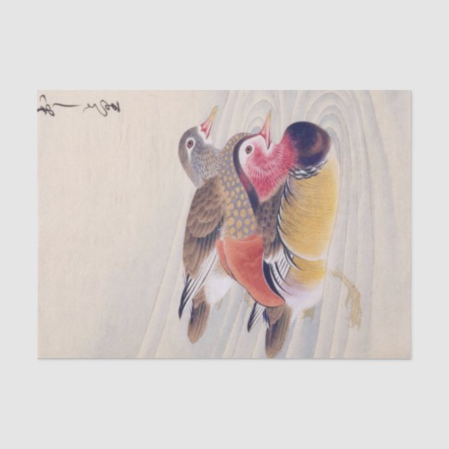Papier Mousseline Illustration vintage : canard mandarin (Recto)