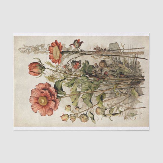 Papier Mousseline Illustrations de fleurs botaniques sur le parchemi (Recto)