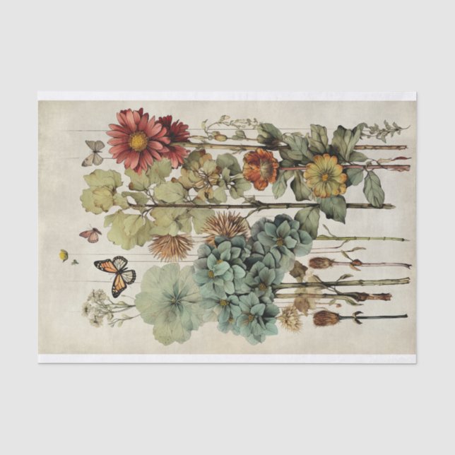 Papier Mousseline Illustrations de fleurs botaniques sur le parchemi (Recto)