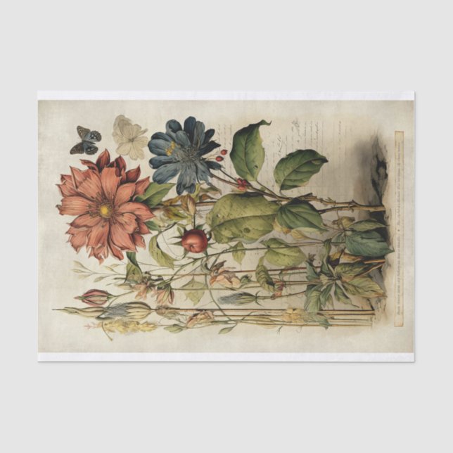 Papier Mousseline Illustrations de fleurs botaniques sur le parchemi (Recto)