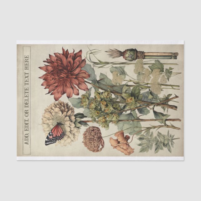 Papier Mousseline Illustrations de fleurs botaniques sur le parchemi (Recto)
